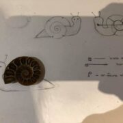 sidney snail-brooch-process-sandrakernsjewellery